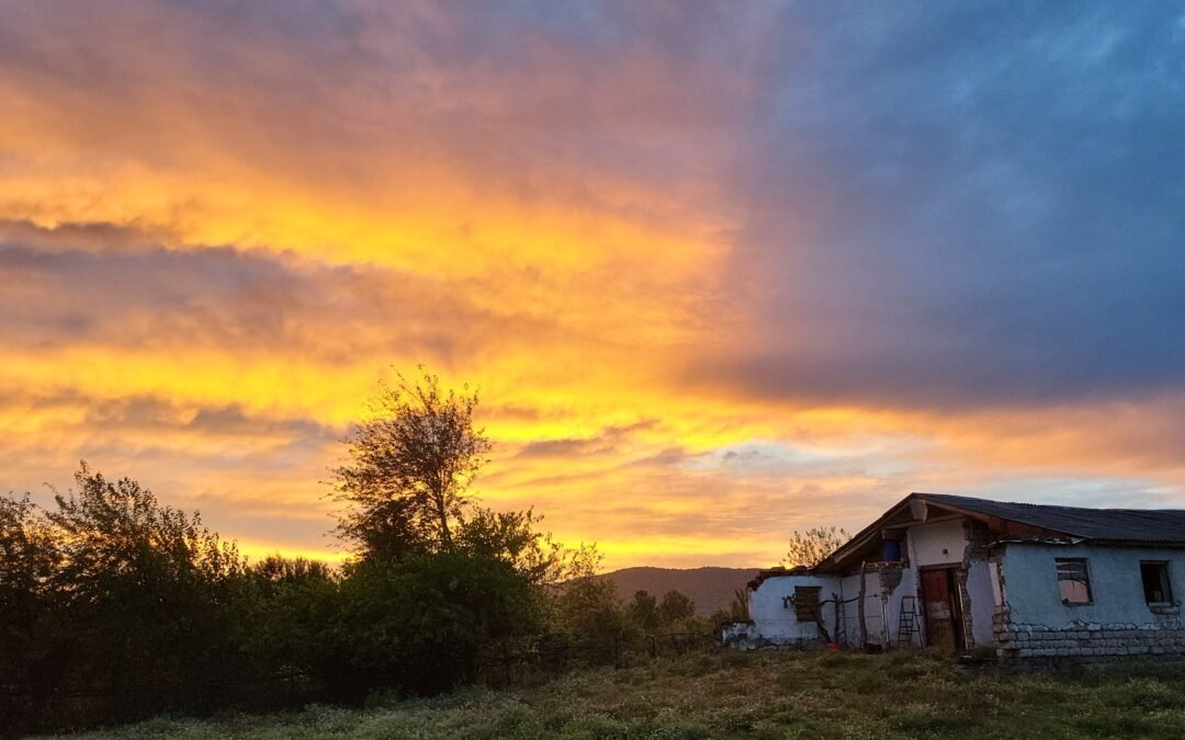 Meet Ecovillage Georgia