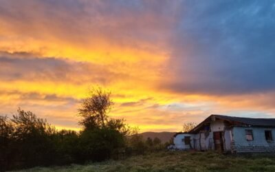 Meet Ecovillage Georgia