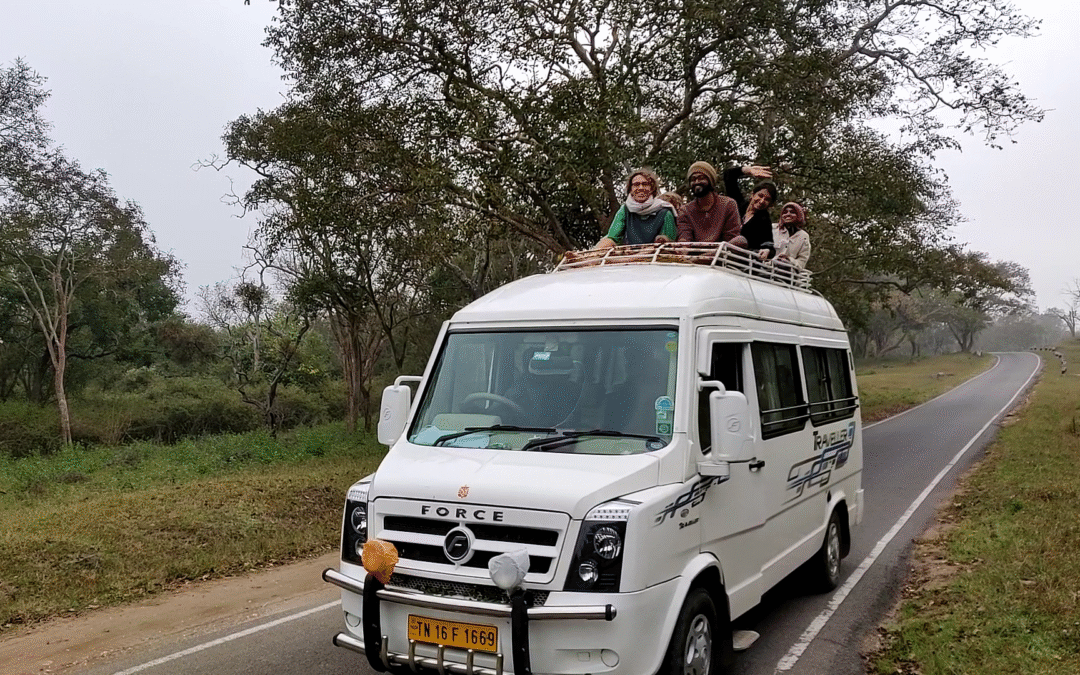 South India group travel